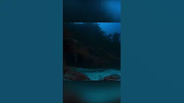 Что скрывает самка рыбы Кабудай