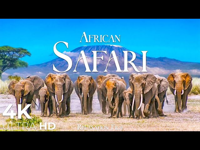 African Safari 4K • Wildlife Relaxation Film with Peaceful Relaxing Music and Animals Video Ultra HD class=