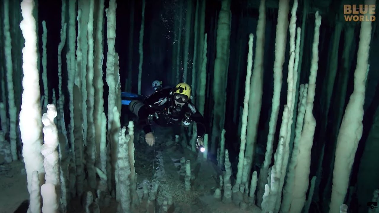 Cave Dive Training JONATHAN BIRD'S BLUE WORLD YouTube