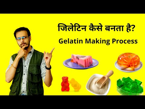 जिलेटिन कैसे बनता है? | Gelatin Kaise Banate Hai? | Making