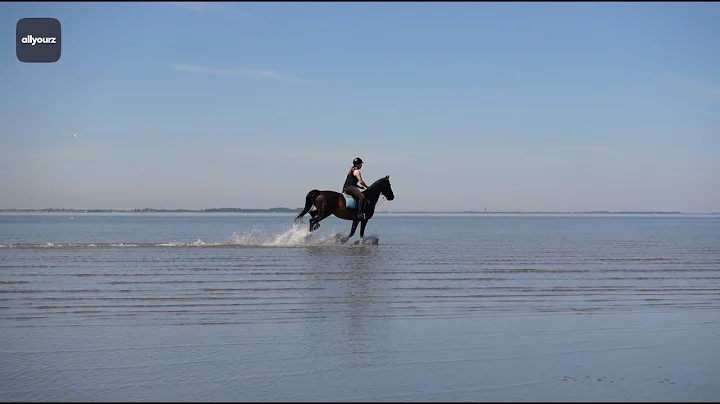 Ontdek Zeeland - Bestemmingen - Rustige stranden op Tholen