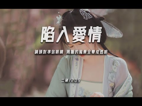 二碩 / 2OS《陷入愛情》”鏡頭對準你眼睛 周圍的風景全變成透明“【動態歌詞/PinyinLyrics】♪