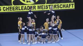 Landes Cheerleader Meisterschaft  2017 Little Devils