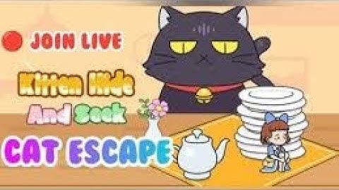 😺 Kitten Hide & Seek Live Stream | Funny Cat Escape Gameplay!