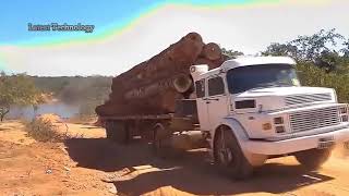 Extreme Dangerous Skills Operator Wood Trucks Logging Fastest Driving, Amazing Biggest Truck Working