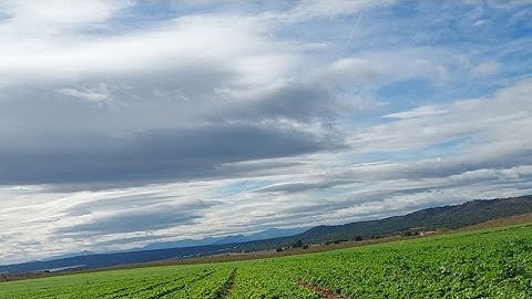 إذا الشمس كورت، قمة الإبداع مع الشيخ عبد الباسط عبد الصمد، سورة التكوير