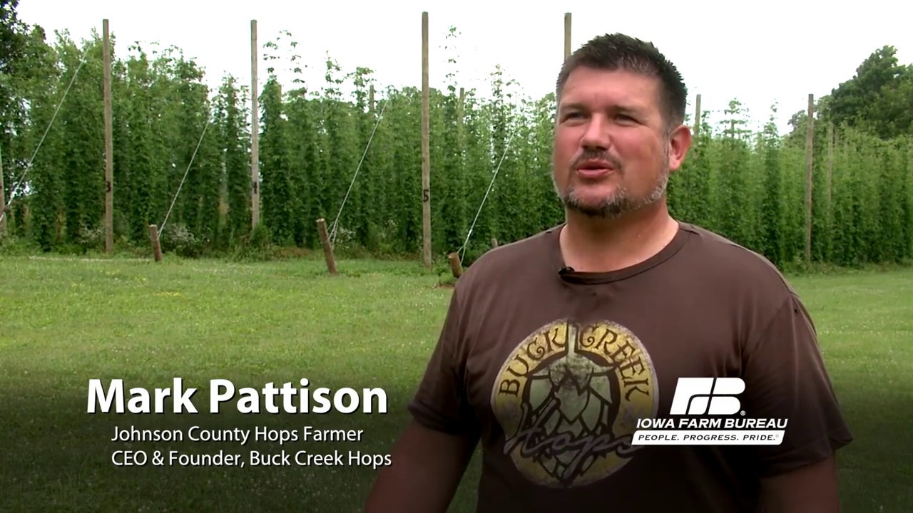 Iowa Minute: There's a growing demand for Iowa-grown hops