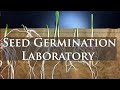 Seed Germination in the National Plant Germplasm System: NCRPIS, Ames, Iowa