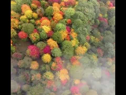 گوشه ای از زیبایی های منطقه اولسبلانگاه ماسال در استان گیلان با صدای استاد شجریان تقدیم به شما