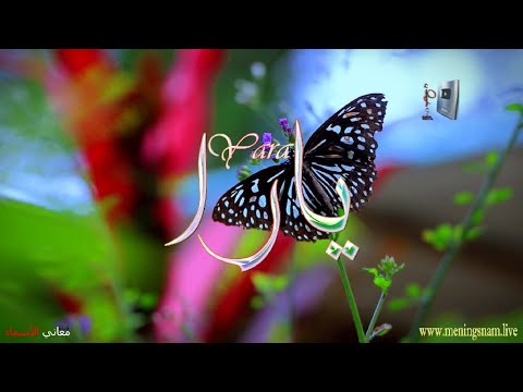 ما معنى اسم يارا وبعض من صفات حاملة هذا الاسم على قناة معاني الاسماء 