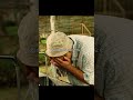 冬に訪れた、老人と子犬の別れ。#映画 #fyp #映画紹介 #情感 #日常