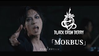 Black Grow Berry -Morbus Music Video