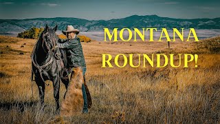 Real Montana Ranch Round Up! Shipping Time