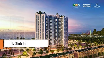 Sonasea Sparkling -  10 Giá trị vàng