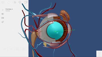 Eye Dissection: Virtual Reality Visible Body Activity with zSpace