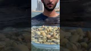 Kakka Varal | Bahrain | 2021 | Backwater | Entertaintment.