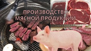 РАБОТА В ПОЛЬШЕ : Производство мясной продукции
