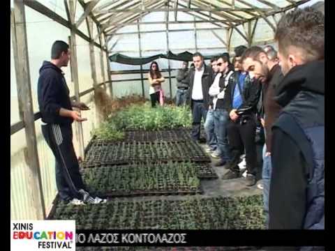 Βίντεο: Garden Cress Vegetables - Μάθετε να μεγαλώνετε και να φροντίζετε το κάρδαμο κήπου