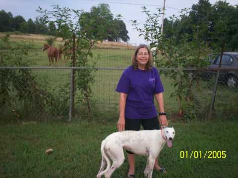 dacia-&-chace-gulledge_helen-sutton(atlanta-native)_loven-kisses(greyhound)_callie-(husky-5-months)