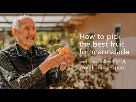 Video: How To Choose The Right Marmalade
