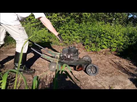 Video: Vinkkejä ruohon kasvattamiseen varjoisilla alueilla