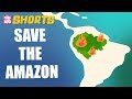 Amazon Forest Fire Explained! | Peekaboo Shorts | Best Learning Videos For Kids | Peekaboo Kidz