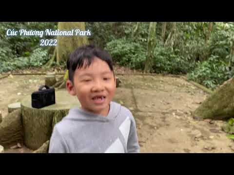 giá vé vào rừng cúc phương 2022 Update Rừng quốc gia Cúc Phương (Cuc Phuong National park) 2022