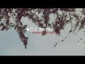 WILL HAVEN - FOREIGN FILMS ll