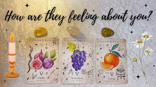 💝 How Are They Thinking/Feeling? 💐🕯️Pick A Card Tarot Reading