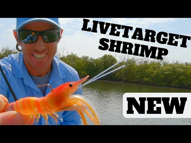 How To Fish The NEW LIVE TARGET FLEEING SHRIMP 