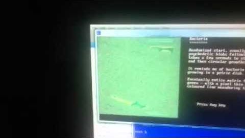 Bacteria Simulated in Cellular Automata