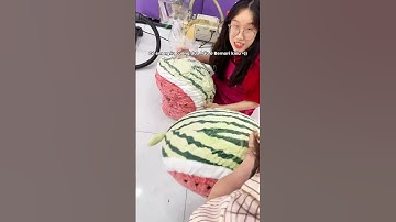 có em ng.iu chỉ thích dưa hấu kiểu #bemori #gaubong #gấu bông #capybara