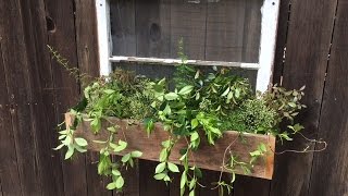 This is a great beginner project. It will be a great addition to your space. If you enjoyed this video, You can help us by LIKING, 