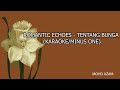 ROMANTIC ECHOES - TENTANG BUNGA (KARAOKE/MINUS ONE)