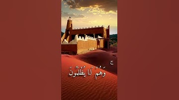 القارئ انس المالك