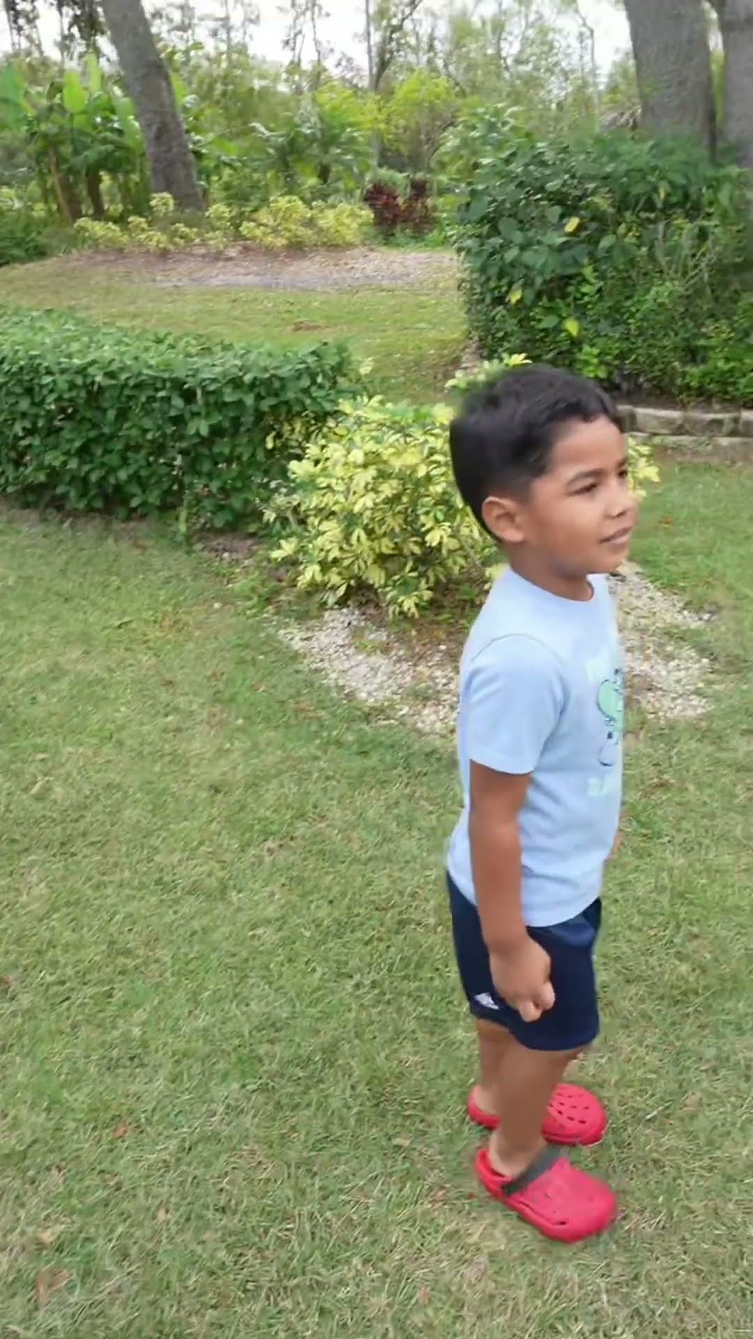Son tells mom and dad cartwheels are for girls only #shorts