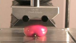 Slicing Through a Cherry With TAXTPlus Texture Analyzer
