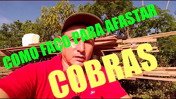 O que é bom para espantar cobra jararaca?