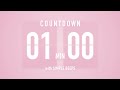 1 Minute Countdown Timer Flip Clock With Simple Beeps