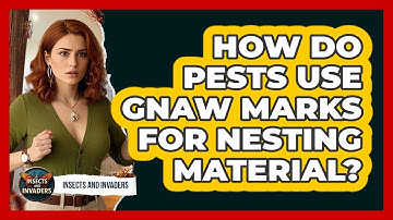 How Do Pests Use Gnaw Marks For Nesting Material? - Insects and Invaders