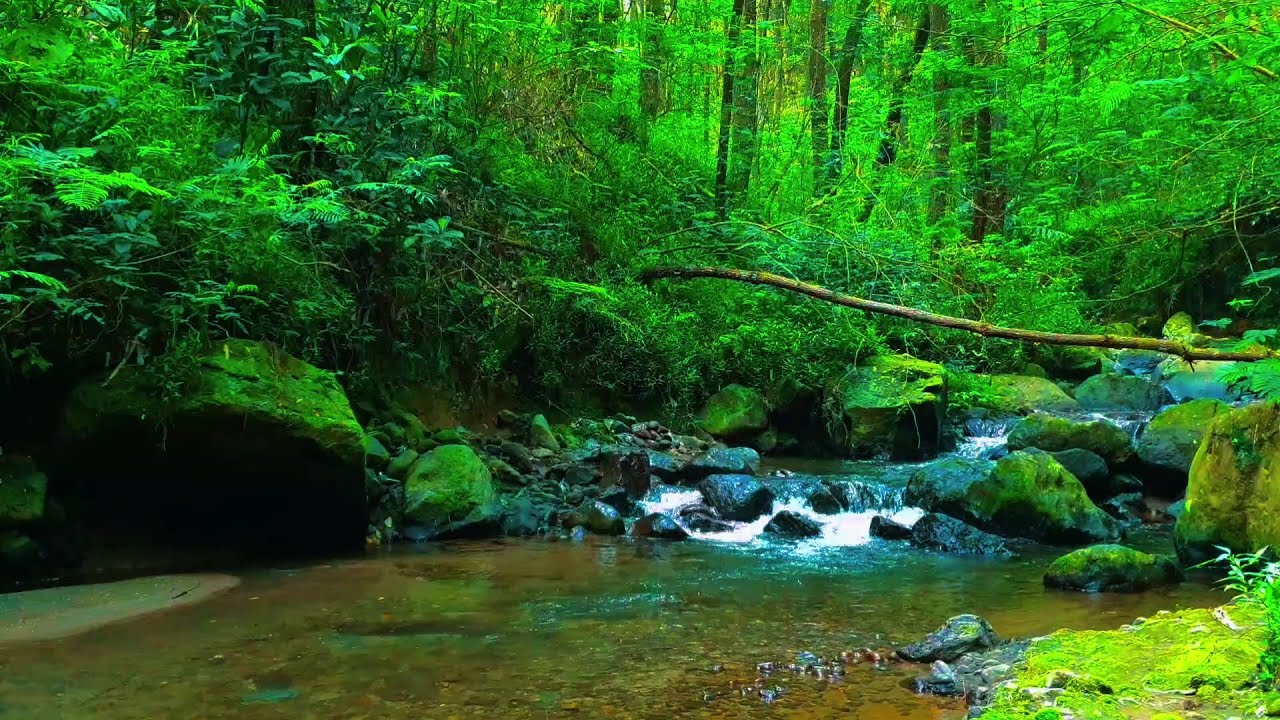 Relaxing River Sound of a forest river for sleeping, peaceful mind ...