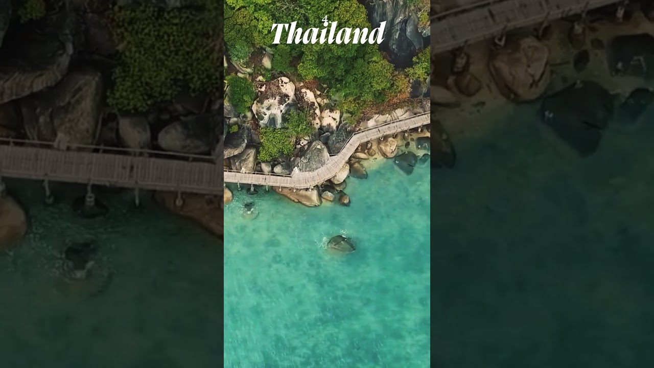 International Tour Packages  