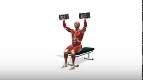 Exercise Videos - PowerBlock Shoulder Press -- Seated Exercise Video