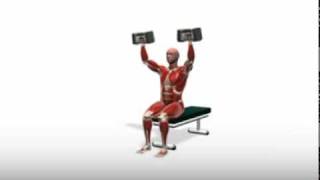 Exercise Videos - Powerblock Shoulder Press -- Seated Exercise Video