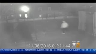 Famous Bronx Attempted Rape Suspect Sought Wealth