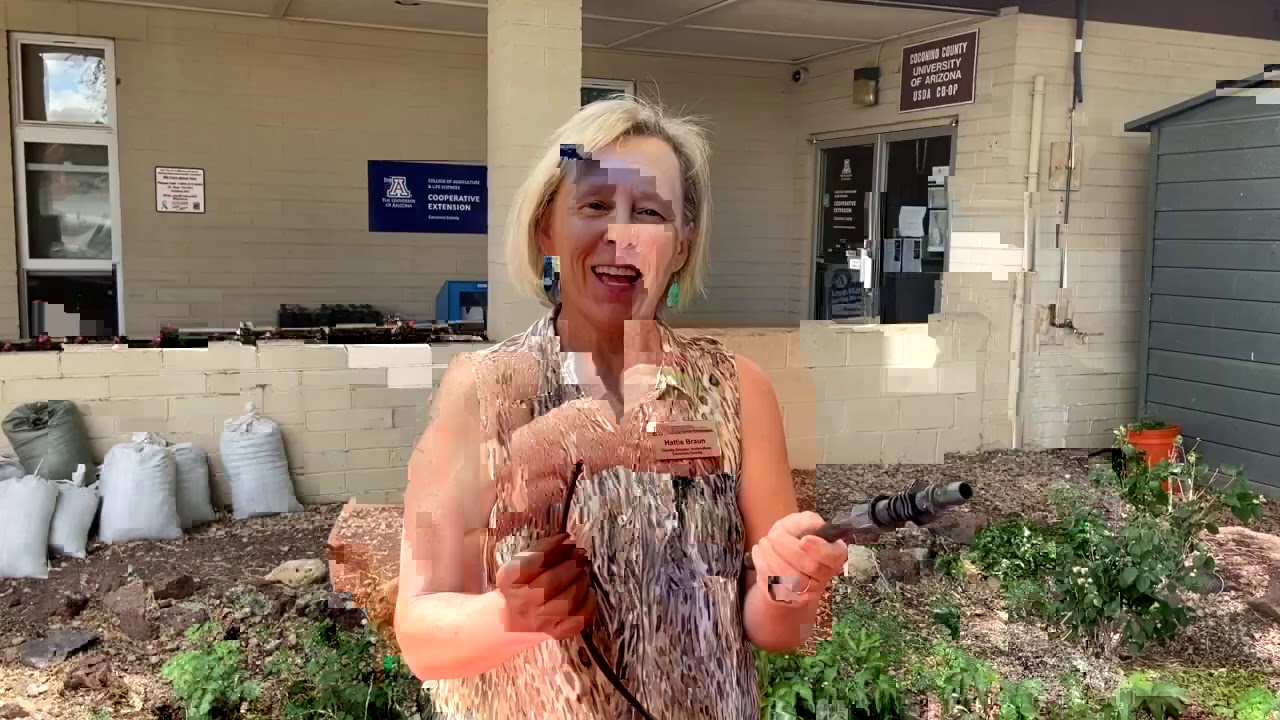 Drip Irrigation - YouTube