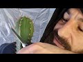 Mr.Grünerdaumen überträgt auf chillig einen Livestream.