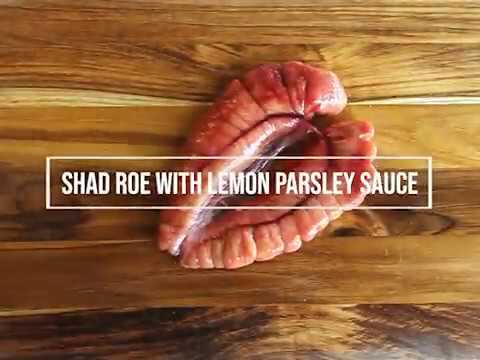 RECIPE: Shad Roe with Lemon Parsley Sauce 