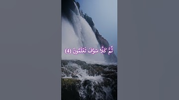 {أَلْهَاكُمُ التَّكَاثُرُ} قارئ ياسر الدوسري
