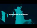 Camila Cabello-Consenquences(Español)